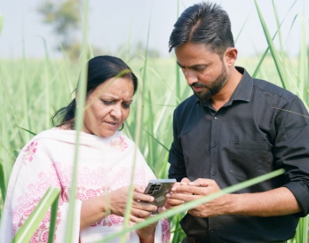 Field audit team in sugarcane