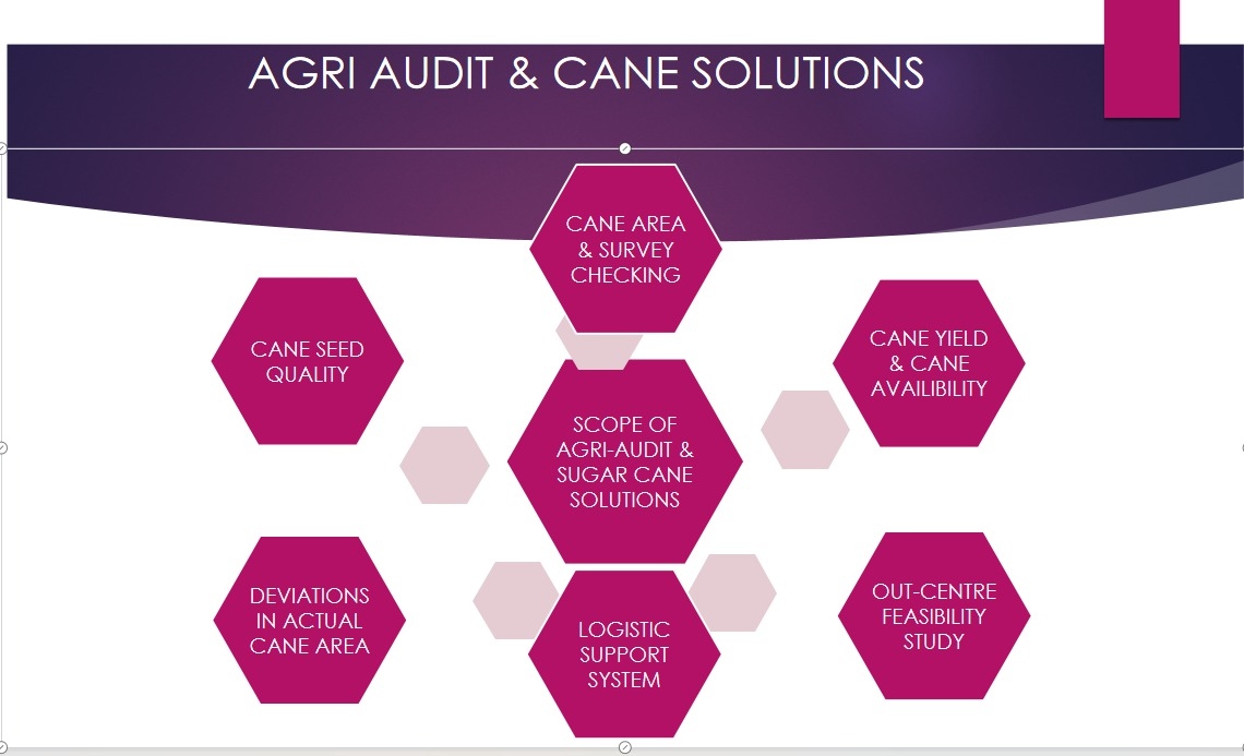 Scope of Agri-Audit & Sugarcane Solutions Diagram